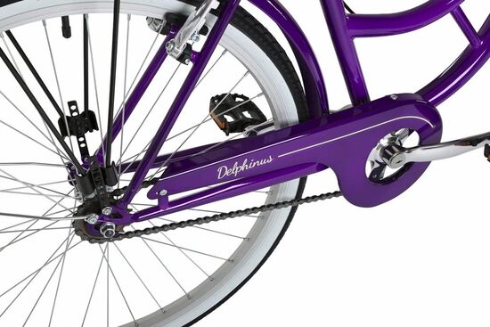 barracuda delphinus vintage ladies bike