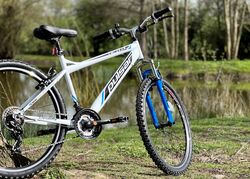 Dallingridge Pulsar Hardtail Mountain Bike, 26