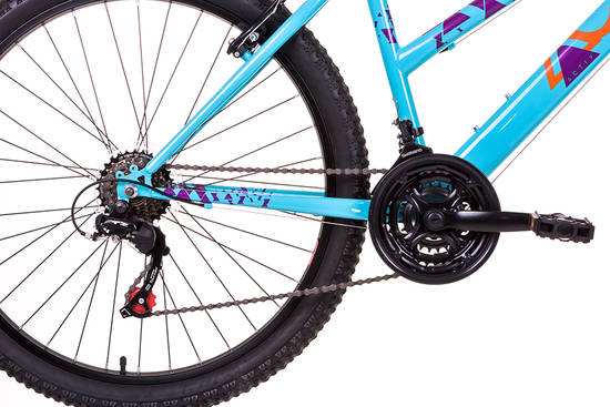 raleigh activ roma mountain bike ladies