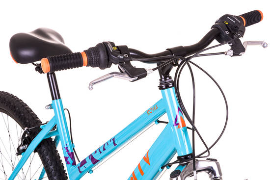 raleigh activ roma mountain bike ladies