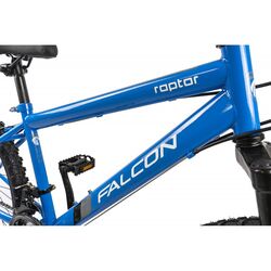 Falcon Raptor 24