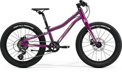 Merida Matts Jr. 20 Plus Junior Mountain Bike 2022, 20