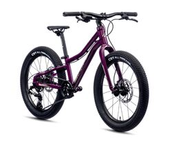 Merida Matts Jr. 20 Plus Junior Mountain Bike 2022, 20