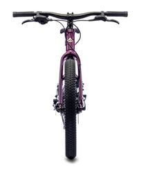 Merida Matts Jr. 20 Plus Junior Mountain Bike 2022, 20