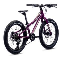 Merida Matts Jr. 20 Plus Junior Mountain Bike 2022, 20