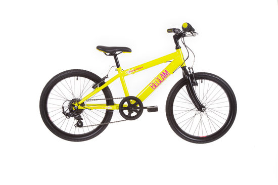 Raleigh 20 inch mountain bike online