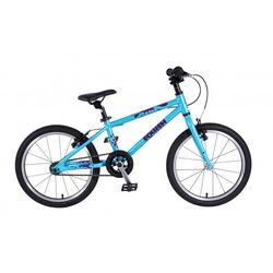 Squish Junior Mountain Bike - 18