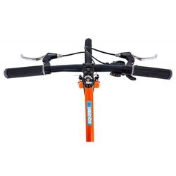 Squish Junior Mountain Bike - 24