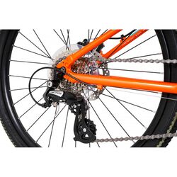 Squish Junior Mountain Bike - 24