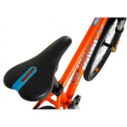 Squish Junior Mountain Bike - 24