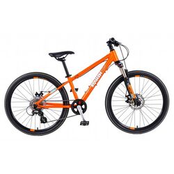 Squish Junior Mountain Bike - 24