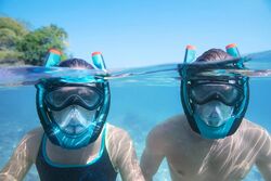 Bestway Hydro-Pro SeaClear Flowtech Full-Face Snorkelling Mask 4 Thumbnail