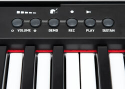 Academy Of Music P100 61 Key Keyboard - Black 2 Thumbnail