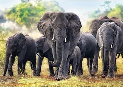 Trefl African Elephants Puzzle Adults - 1000 Pieces 1 Thumbnail