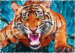 Trefl Facing a Tiger Puzzle - 600 Pieces 1 Thumbnail