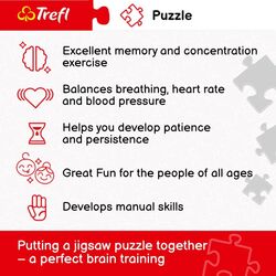 Trefl Friends Best Moments Puzzle Adults - 1000 Pieces 4 Thumbnail