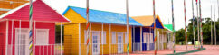 Outdoor Play Structures
