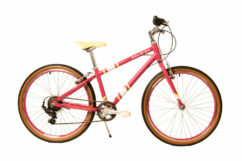 Raleigh Pop Cherry 24" Wheel 13" Kids Bike Red