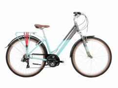 Raleigh Pioneer Trail Low Step Traditional Hybrid Bicycle - Grey/Teal
