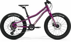 Merida Matts Jr. 20 Plus Junior Mountain Bike 2022, 20" Wheel - Gloss Purple