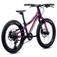 Merida Matts Jr. 20 Plus Junior Mountain Bike 2022, 20" Wheel - Gloss Purple - Image 5