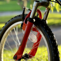 Basis Raptor Junior Hardtail Mountain Bike, 20" Wheel - Gloss Black/Red - Image 10
