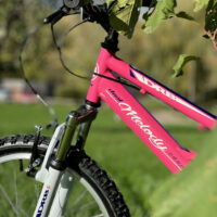 Imperfect Dallingridge Melody 20" Girls Full Suspension Mountain Bike - Pink/Blue - Image 3