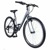 Falcon Wave Low Step 26" Wheel, 15" Frame - Silver - Image 2