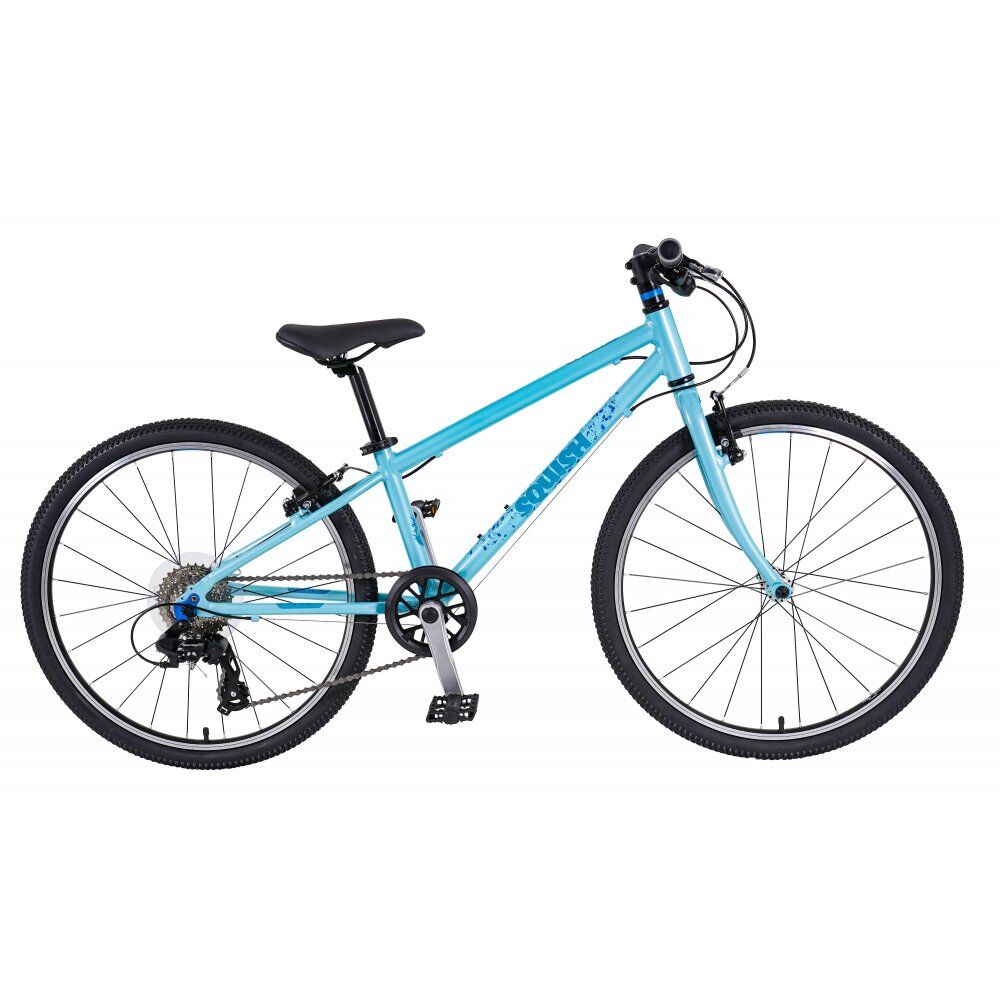 Squish Junior Mountain Bike - 24" Wheel - 11" Lightweight Alloy Frame - Mint