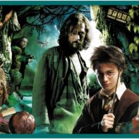 Trefl Harry Potter "10 in 1" Kids Puzzle - Image 5