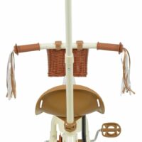 MoVe Steer Along Trike with Basket and Tassels - Image 3