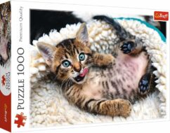 Trefl Cheerful Kitten 1000 Piece Puzzle